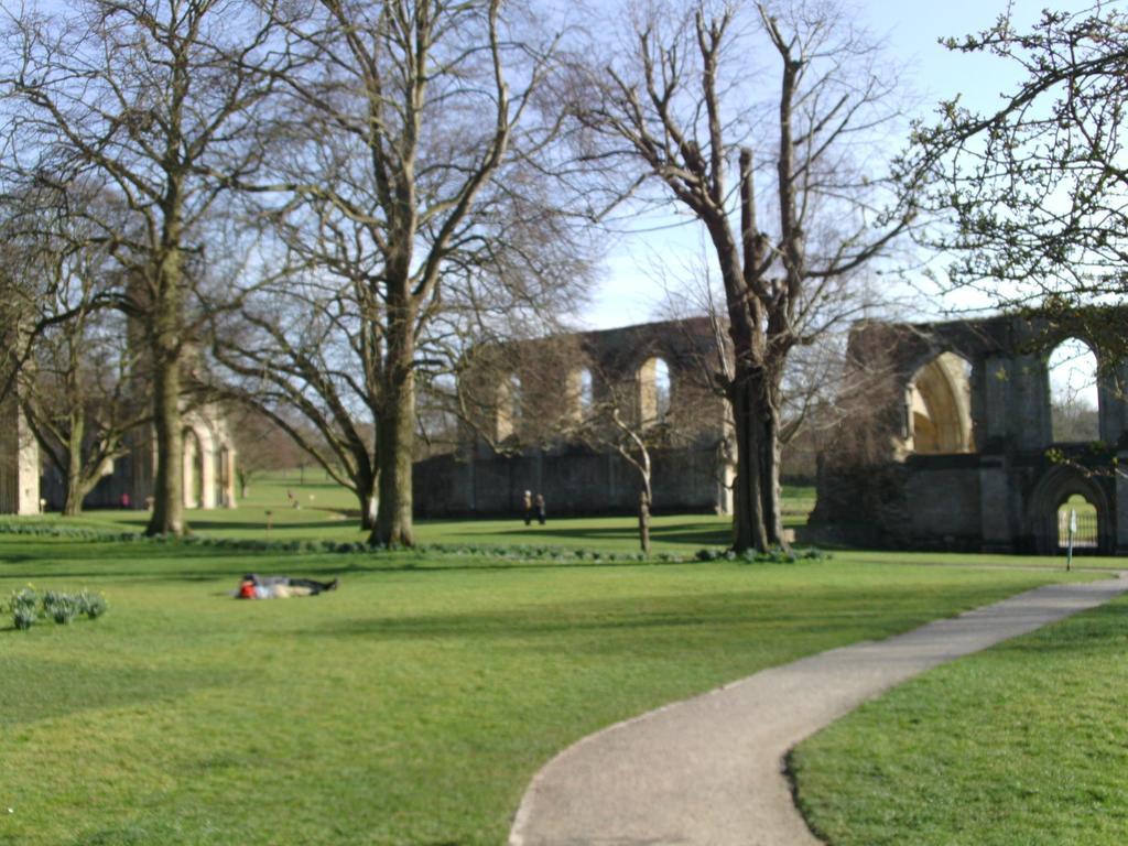 Sacred Garden Retreat Daire Glastonbury Dış mekan fotoğraf