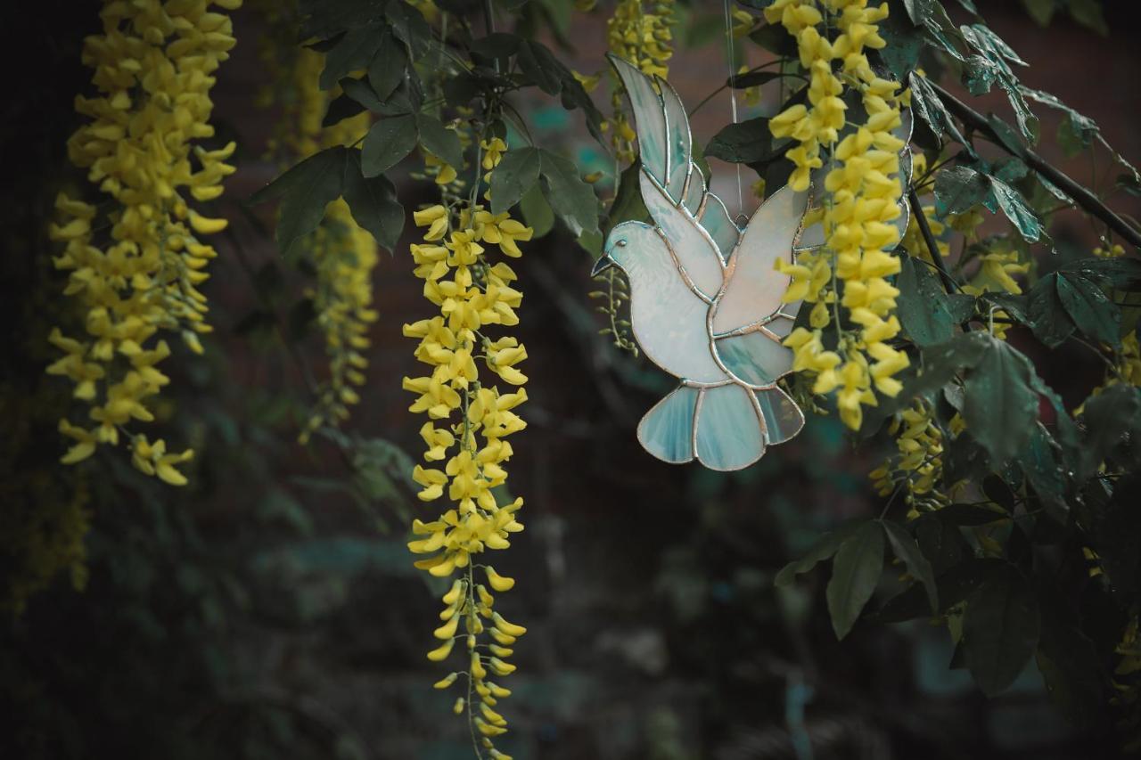 Sacred Garden Retreat Daire Glastonbury Oda fotoğraf